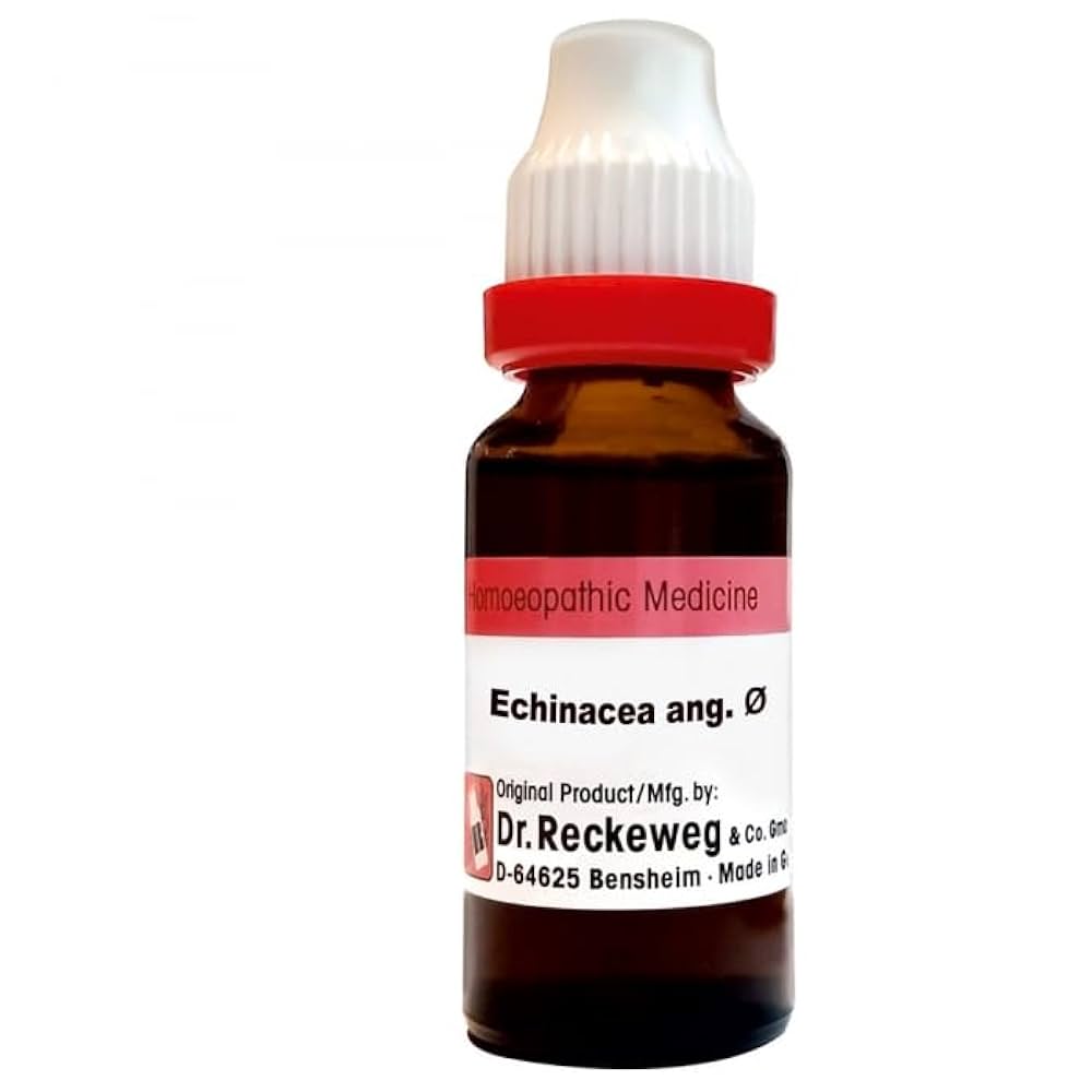 Echinacea Ang Q
